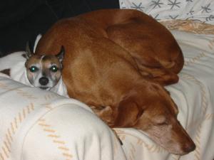 Cira und Cilly